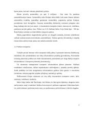 Transporto tinklo Kinijoje analizė 4 puslapis