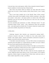 Transporto tinklo Kinijoje analizė 6 puslapis