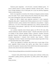 Transporto tinklo Kinijoje analizė 7 puslapis