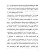 Transporto tinklo Kinijoje analizė 10 puslapis