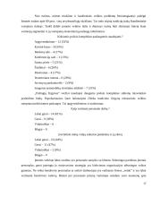 Klaipėdos apskrities ekonomikos tyrimas 17 puslapis