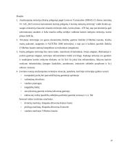 Klaipėdos apskrities ekonomikos tyrimas 19 puslapis