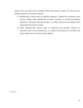 Viešojo administravimo įstaigų veiklos raida 16 puslapis
