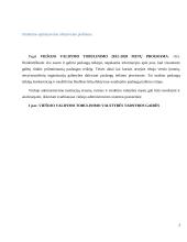 Viešojo administravimo įstaigų veiklos raida 3 puslapis