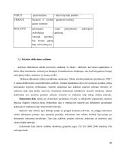 Kokybės vadybos sistemos dokumentavimo praktika 20 puslapis