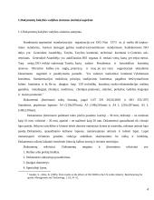 Kokybės vadybos sistemos dokumentavimo praktika 4 puslapis