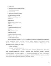 Kokybės vadybos sistemos dokumentavimo praktika 5 puslapis
