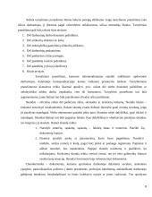 Kokybės vadybos sistemos dokumentavimo praktika 8 puslapis