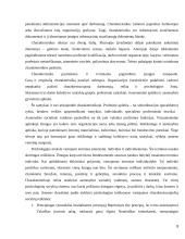 Kokybės vadybos sistemos dokumentavimo praktika 9 puslapis