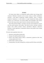 Kompiuterių vaizdo plokščių įvertinimas 2 puslapis