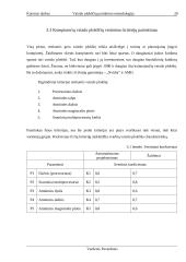 Kompiuterių vaizdo plokščių įvertinimas 20 puslapis