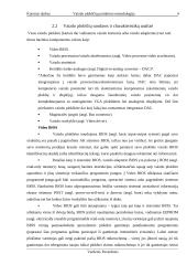 Kompiuterių vaizdo plokščių įvertinimas 4 puslapis