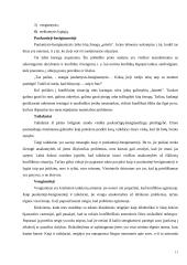 Konfliktų valdymas; atvejo analizė 11 puslapis