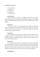 Konfliktų valdymas; atvejo analizė 13 puslapis