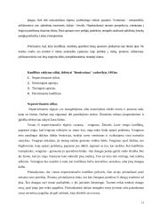 Konfliktų valdymas; atvejo analizė 14 puslapis