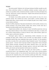 Konfliktų valdymas; atvejo analizė 17 puslapis