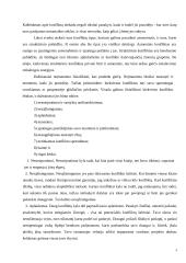 Konfliktų valdymas; atvejo analizė 5 puslapis