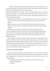 Konfliktų valdymas; atvejo analizė 10 puslapis