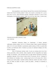 Konfucijaus filosofija 3 puslapis