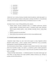 Lietuviškų kosmetikos prekinių ženklų įvaizdžio vertinimas 5 puslapis