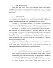 Reliacinių duomenų bazių projektavimas 6 puslapis