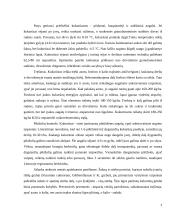 Kukurūzinių grūdų mikrobiologinės būklės įvertinimas 4 puslapis