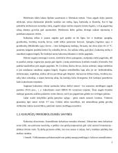 Kukurūzinių grūdų mikrobiologinės būklės įvertinimas 5 puslapis