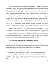 Kultūrinio turizmo vystymo svarba Lazdijų rajono turizmo plėtrai 15 puslapis