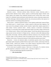 Kultūrinio turizmo vystymo svarba Lazdijų rajono turizmo plėtrai 7 puslapis