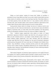 Kulturinių renginių organizavimo verslo aplinkoje analizė 2 puslapis