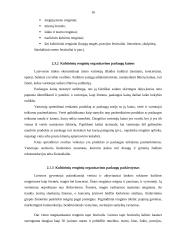 Kulturinių renginių organizavimo verslo aplinkoje analizė 16 puslapis