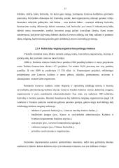 Kulturinių renginių organizavimo verslo aplinkoje analizė 17 puslapis