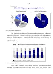 Kulturinių renginių organizavimo verslo aplinkoje analizė 19 puslapis