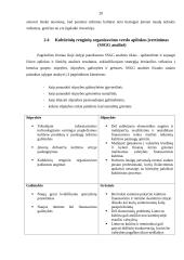 Kulturinių renginių organizavimo verslo aplinkoje analizė 20 puslapis