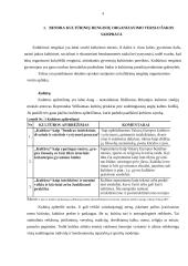 Kulturinių renginių organizavimo verslo aplinkoje analizė 4 puslapis