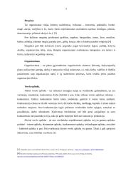 Kulturinių renginių organizavimo verslo aplinkoje analizė 5 puslapis