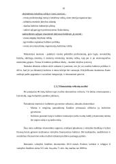 Kulturinių renginių organizavimo verslo aplinkoje analizė 10 puslapis