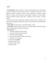 Kūrybinis mąstymas, kūrybiškumo įgūdžių vystymas 2 puslapis