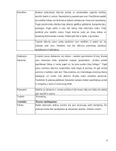 Kūrybinis mąstymas, kūrybiškumo įgūdžių vystymas 11 puslapis