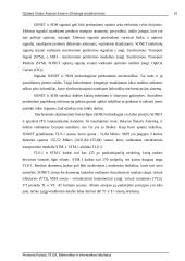 Optinė linija Kaunas-Jonava-Ukmergė 10 puslapis