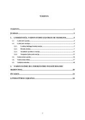 Lyderystė ir vadovavimas. Verslo psichologijos projektas 2 puslapis