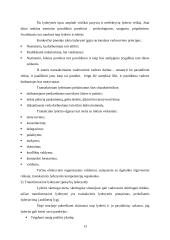 Lyderystė ir vadovavimas. Verslo psichologijos projektas 13 puslapis