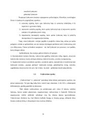 Lyderystė ir vadovavimas. Verslo psichologijos projektas 16 puslapis