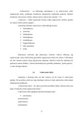 Lyderystė ir vadovavimas. Verslo psichologijos projektas 17 puslapis