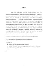 Lyderystė ir vadovavimas. Verslo psichologijos projektas 3 puslapis