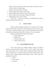 Lyderystė ir vadovavimas. Verslo psichologijos projektas 5 puslapis