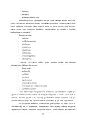 Lyderystė ir vadovavimas. Verslo psichologijos projektas 6 puslapis