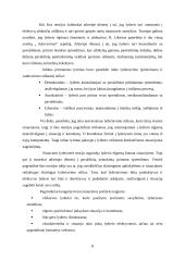 Lyderystė ir vadovavimas. Verslo psichologijos projektas 8 puslapis