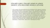 Lyčių lygybės politikos įgyvendinimo Lietuvoje analizė, direktyvos 2 puslapis