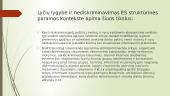 Lyčių lygybės politikos įgyvendinimo Lietuvoje analizė, direktyvos 19 puslapis